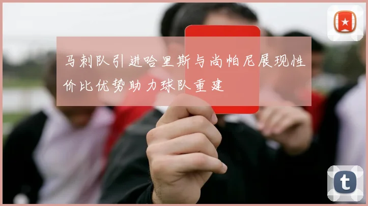 马刺队引进哈里斯与尚帕尼展现性价比优势助力球队重建